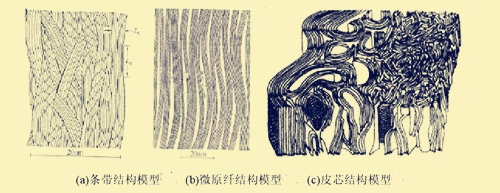 碳纖維結構模型